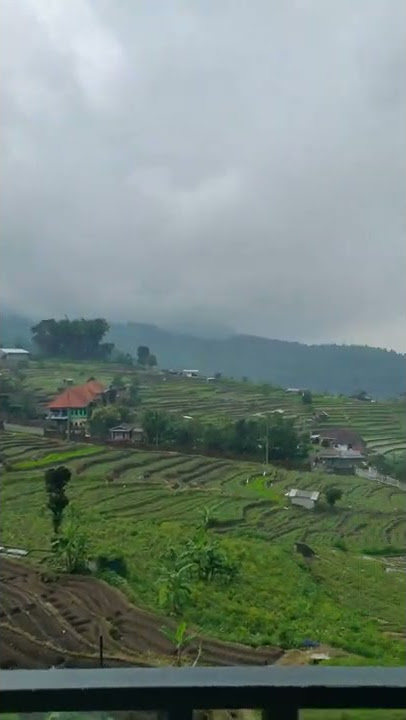 STORY WA NONGKRONG DI CAFE LATARTE MOJOKERTO