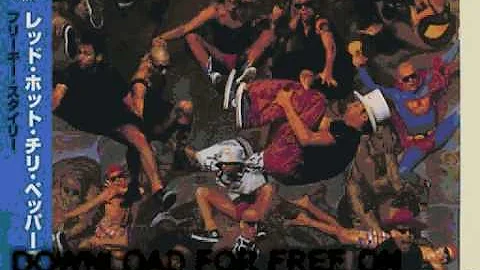 red hot chili peppers - American Ghost Dance - Freaky Styley