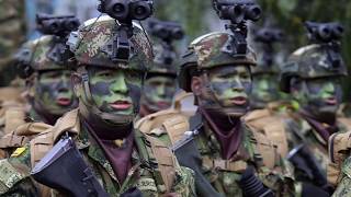 Video thumbnail of "Adiós al Séptimo de la Linea (Ejercito Nacional de Colombia)"