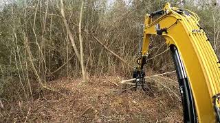 clearing small brush and trees with the Cat 306