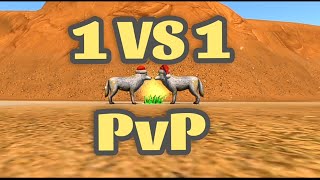 The Wolf - PvP 1v1 [Full gameplay]❗#thewolf