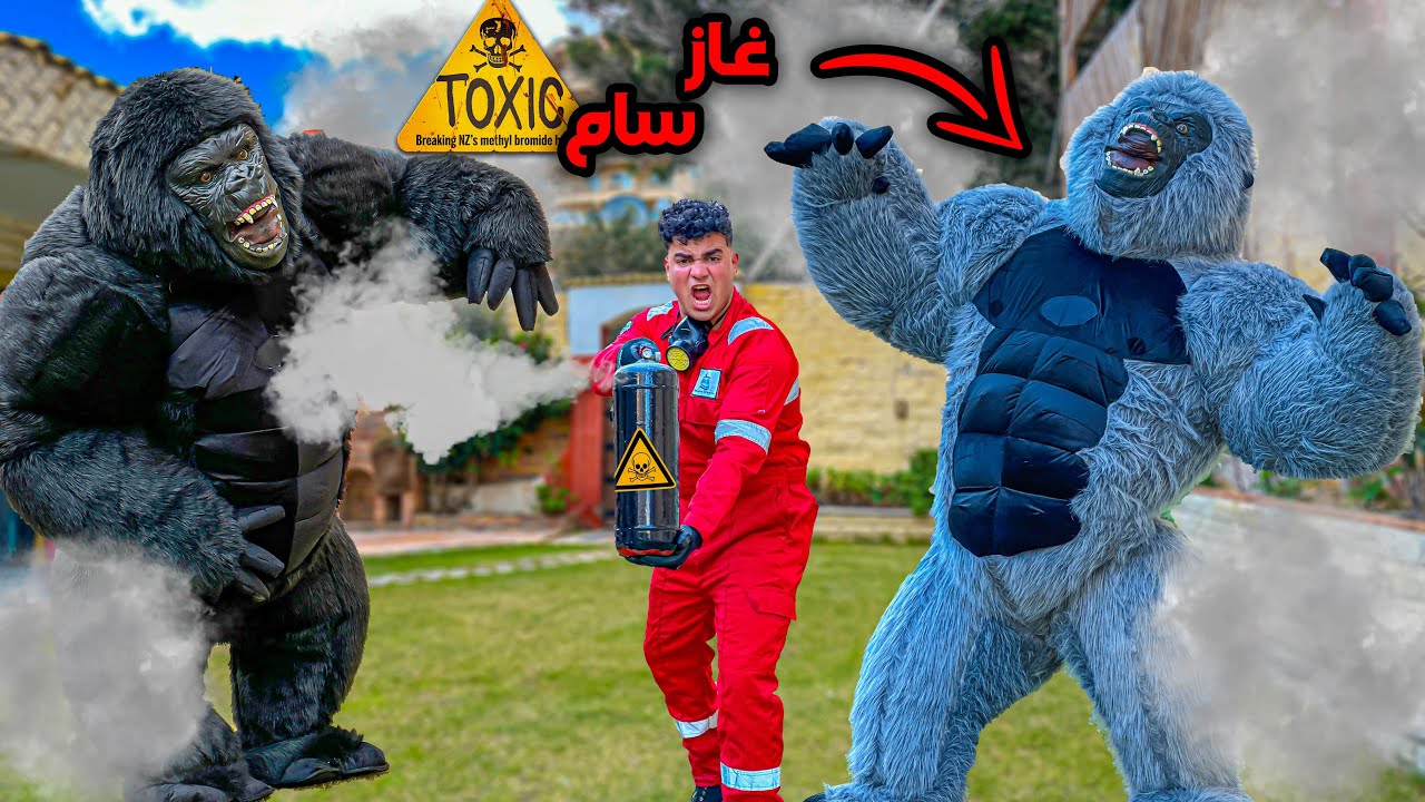 لما غوريلا تهجم علي البيت بتاعكم الجزء الثالث😂🦍 | سيف عماد