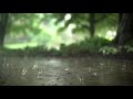 Rain and Thunder Healing Ambient Sounds for Deep Sleeping Meditation Relaxation Spa | At night