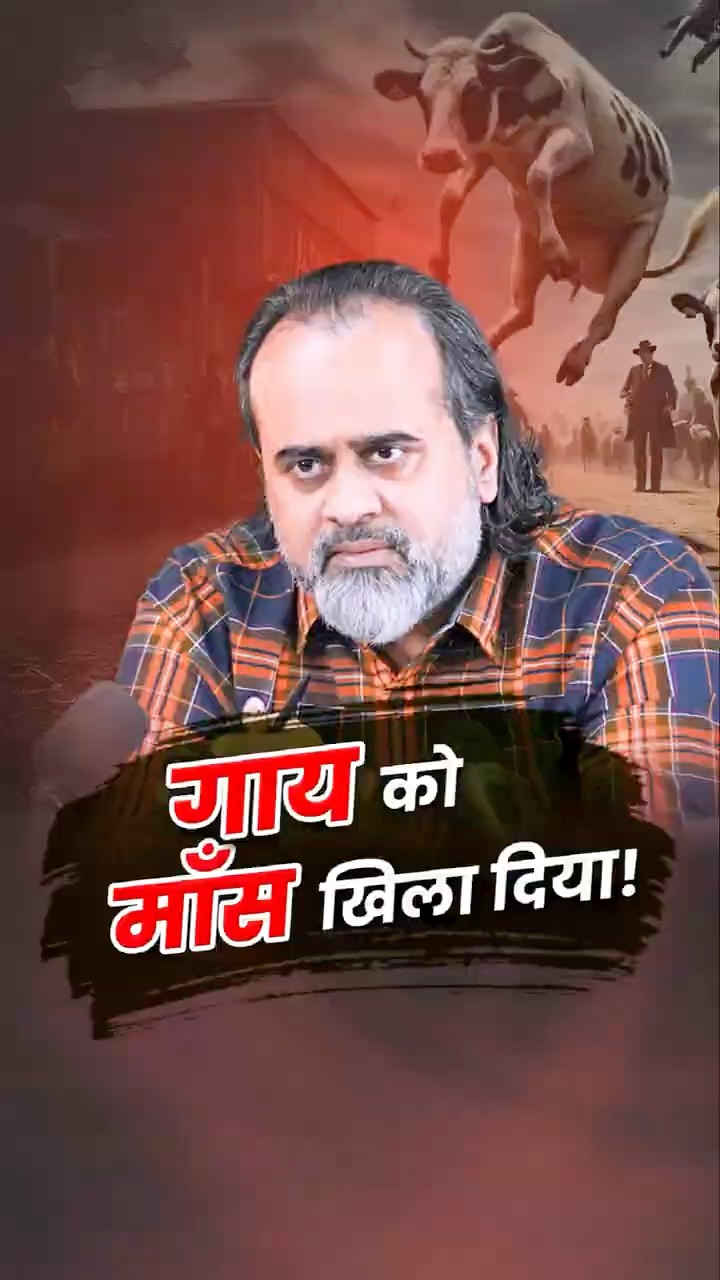 गाय को माँस खिला दिया? || आचार्य प्रशांत