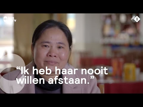 Video: Chinese Kuifhond In De Familie