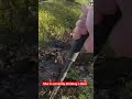 Police Pursuit | She is currently drinking a beer