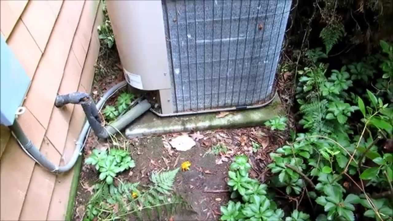 hvac old amana condenser repair cleaning YouTube