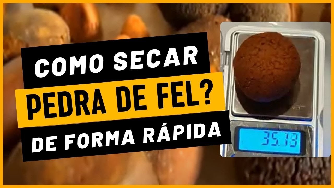 Descubra o SEGREDO para secar pedra de fel rapidamente! - YouTube