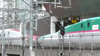 JR東日本E5系U5編成+E6系Z24編成　E531系K407編成+K463編成　東京