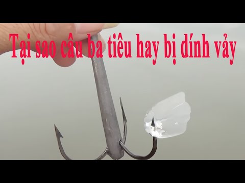 Tại sao câu