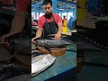 Yellowfin tuna ready to be cut for Padang restaurant #tuna_fish_cutting #fypシ゚viral #talon #fishing