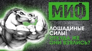 ◉Лошадиные силы «horse power» ◉ ◉Лошадиные силы «horse power» ◉