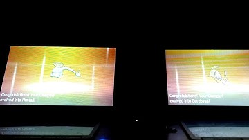 Shiny Clamperl evolves into a Shiny Huntail and Shiny Gorebyss