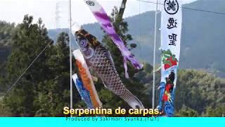 Carp streamer　こいのぼり　कार्प किरण　鲤鱼旗　Serpentina de carpas