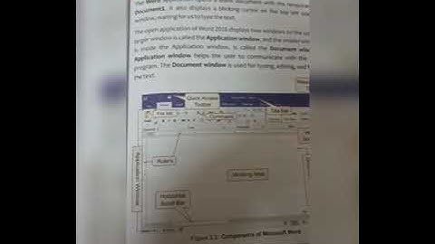 Class 3 Computer Ch-3 Word 2016 Part 2