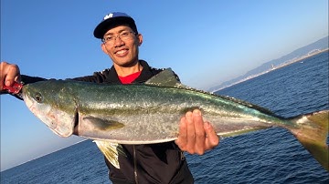 Câu lure biển vào mùa cá cam, mặt trời chưa lên là cá đã đớp mồi ùng ục | Gia Đình Cá Tráp