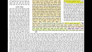 הדף היומי מסכת שקלים דף טו Daf yomi Shekalim daf 15 שמואל נבון