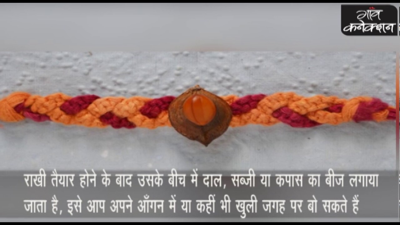 employment news tamilnadu A seed in middle, it's a unique Rakhi ।। कपास से बनी अनोखी राखी।।