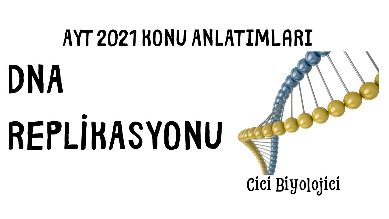 DNA Replikasyonu (DNA eşlenmesi)