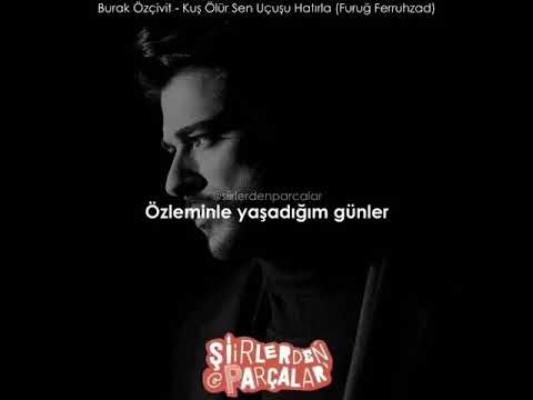 Burak özçivit - kuş ölür sen uçuşu hatırla