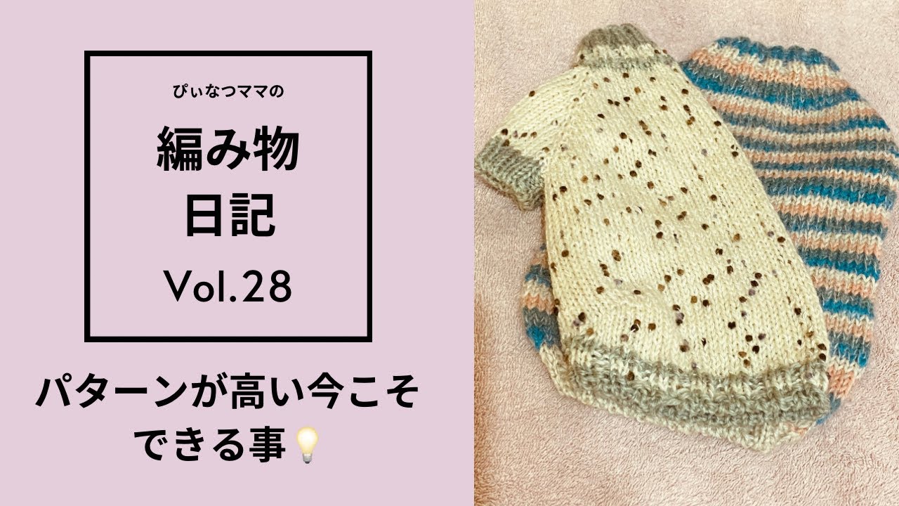 Knitting Diary Vol. 28] Dog sweater/Patterns are expensive, so I