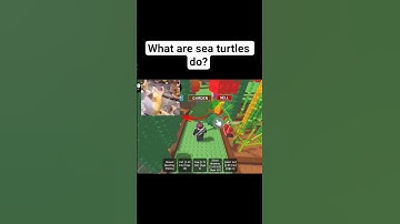 Thumbnail of What did the sea turtle do? #roblox #growagarden