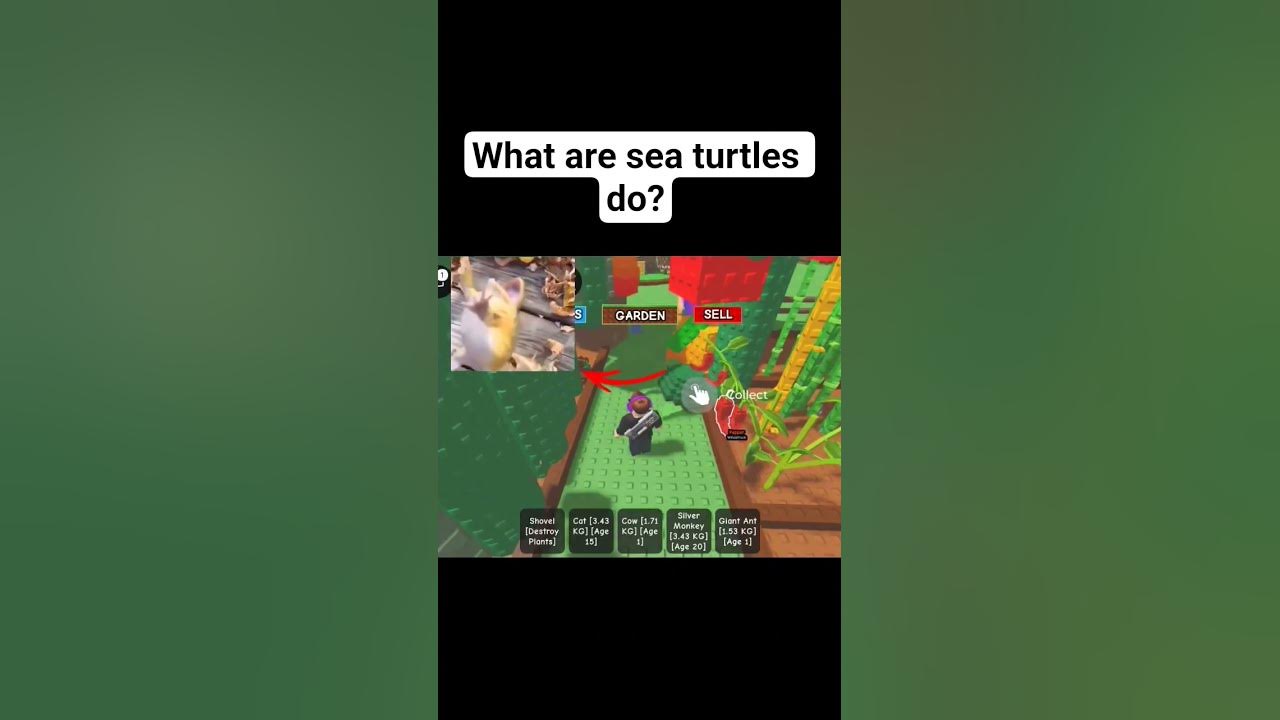 What did the sea turtle do? #roblox #growagarden