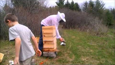 05-11-14 Adding two boxes to our Warre hive