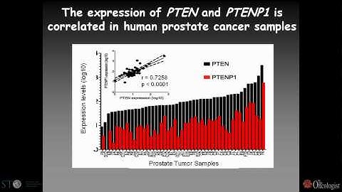 A Coding-Independent Function of Gene and Pseudogene mRNAs Regulates Tumor Biology