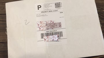 Foxy Fix No. 3 Unboxing