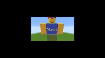 ROBLOX PLAYER Pixel Art Build in Minecraft ! Noob vs Pro vs Hacker vs God - Minecraft Animation