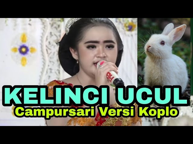 TANPA KENDANG • KELINCI UCUL • CAMPURSARI VERSI KOPLO class=