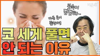 코 한쪽을 막고 풀면 안 되는 이유 - 코 세게 풀면 생기는 5가지 부작용(코를 뚫는 가장 좋은 방법)