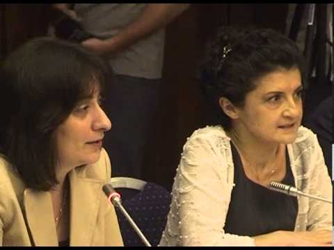 ანტიდისკრიმინაციული კანონპროექტის განხილვა