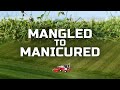 Fine Cut Flail Mower Turns Field Into Manicured Lawn