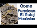 El Sistema Funciona Hidropónico Como