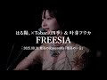 2025.08.31 「最高の一日」 at 吉祥寺BLACK&amp;BLUE はる陽。&times;Tobari(四季) &amp; 叶芽フウカ「FREESIA」