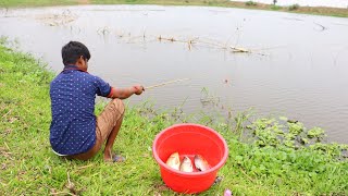 Fishing Video || The fishing technique of the village boys is completely different and interesting