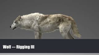 Grey Wolf -- Rigging III