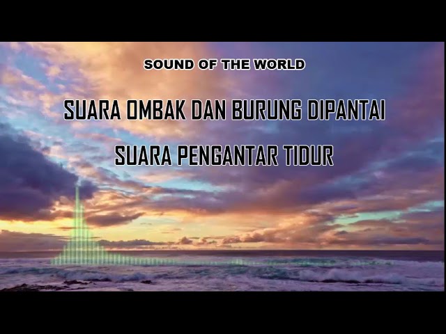 Sound Of World || Suara Ombak Pantai dan Burung Pengantar Tidur class=