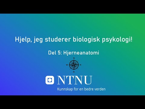 Video: Hva er biologisk utvikling i psykologi?