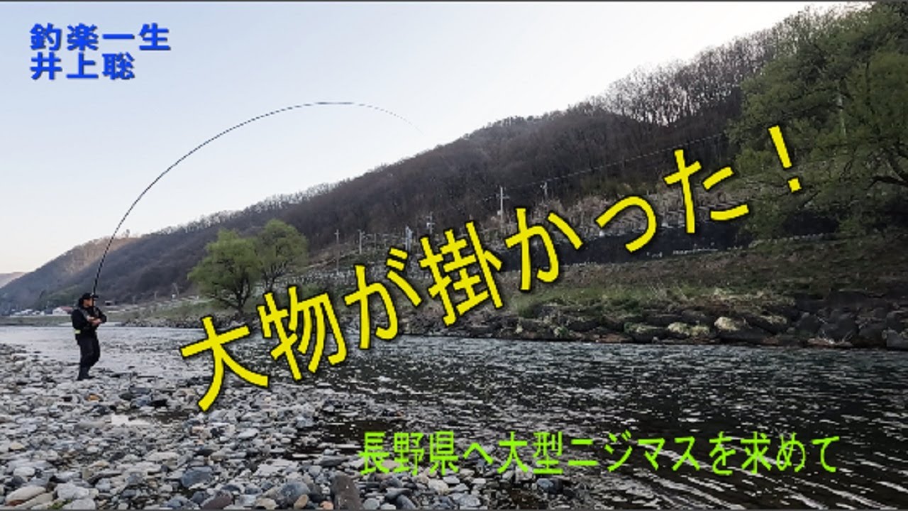大物が掛かった　長野県へ大型ニジマスを求めて
