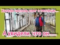 ХОТЕЛИ ПОМОЧЬ УБРАТЬ СНЕГ С ТЕПЛИЦЫ, А КОГДА ПРИЕХАЛИ НА ДАЧУ, ТО УВИДЕЛИ, ЧТО ТАМ....