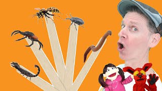 bugs part 4 pop sticks song with matt dream english kids