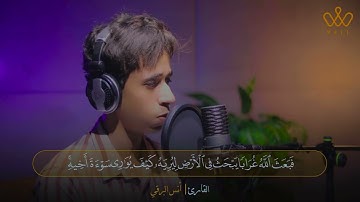 ما تيسر من سورة المائدة بصوت القارئ انس حسن البرقي ♥️