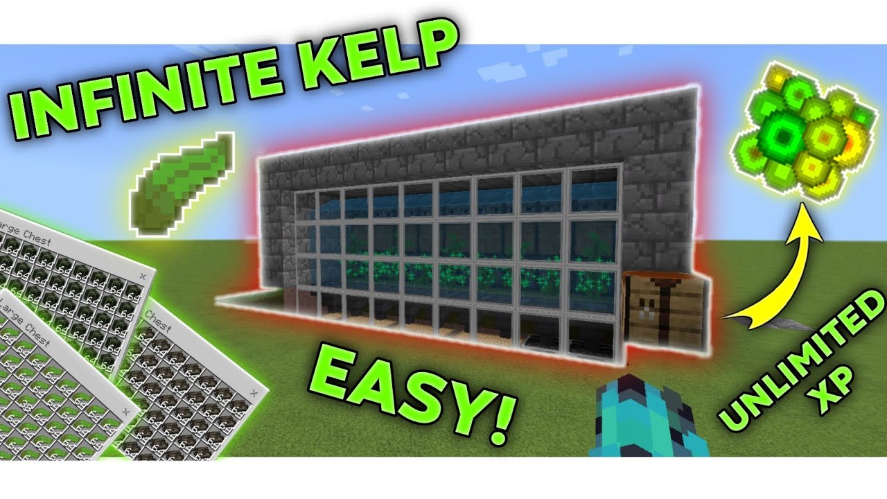 SIMPLE 1.19 AUTOMATIC KELP FARM TUTORIAL in Minecraft Bedrock | Easy ...