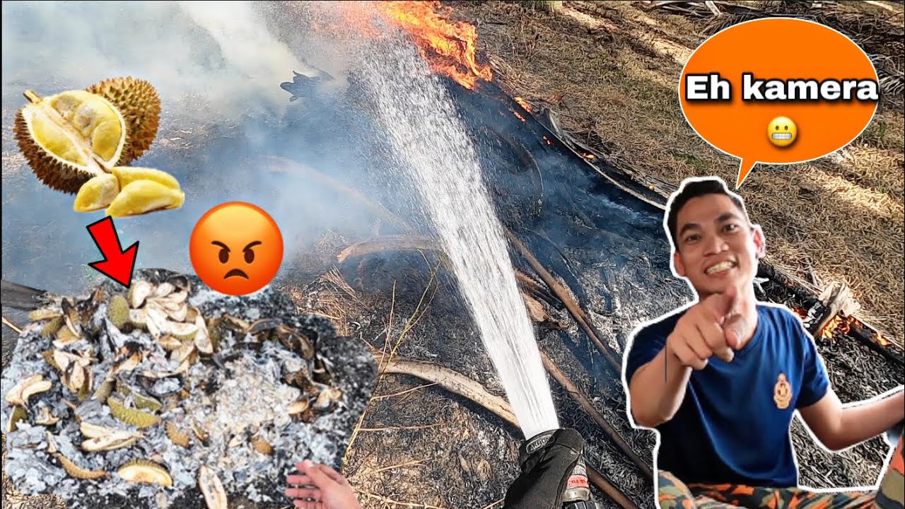 | DURIAN PUNCA KEBAKARAN? | KEBAKARAN KEBUN KELAPA SAWIT | CELORENG BOMBA |