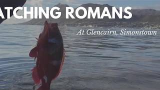 Fishing in Simonstown, catching Red Romans and Hotties!