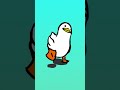 #pato
