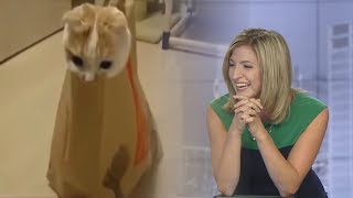 Laura can't stop laughing about this cat in McDonald's bag